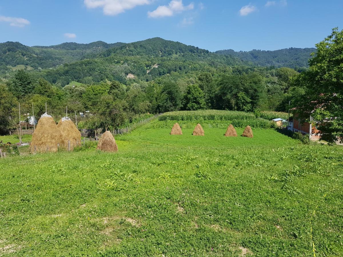Heaven Guesthouse Corbeni Exterior photo